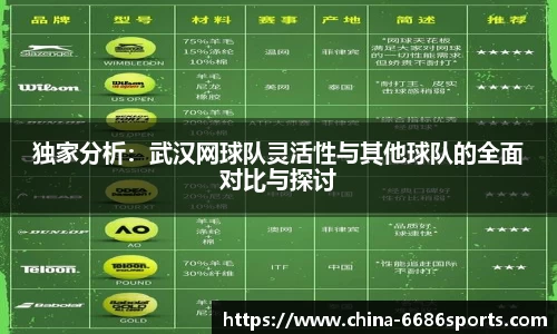 独家分析：武汉网球队灵活性与其他球队的全面对比与探讨